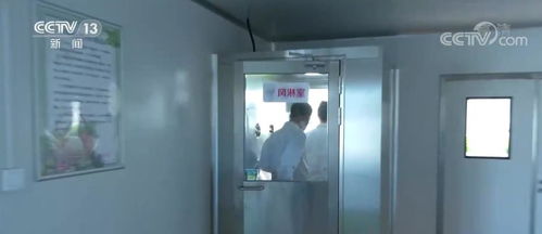 科技賦能植物工廠 北京技術(shù)咨詢引領(lǐng)蔬菜生長(zhǎng)新境界